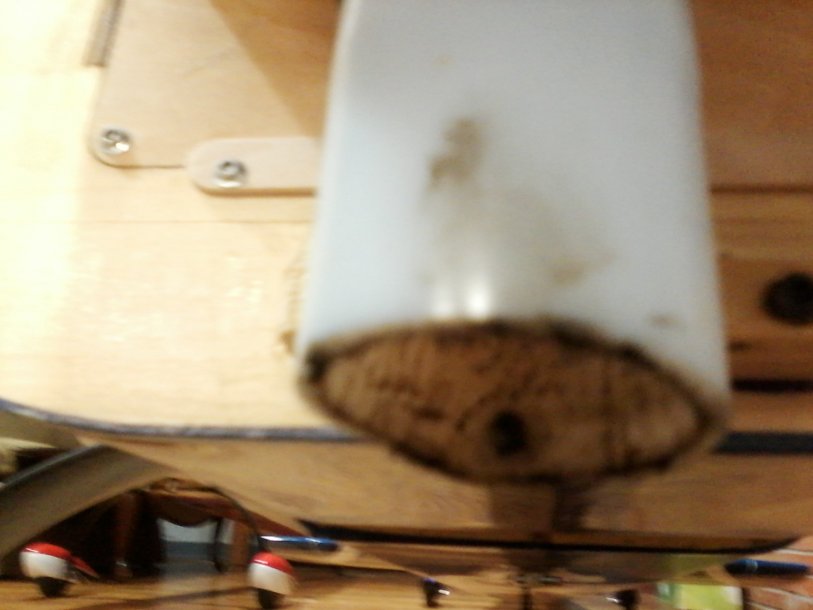1223151935-00.jpg