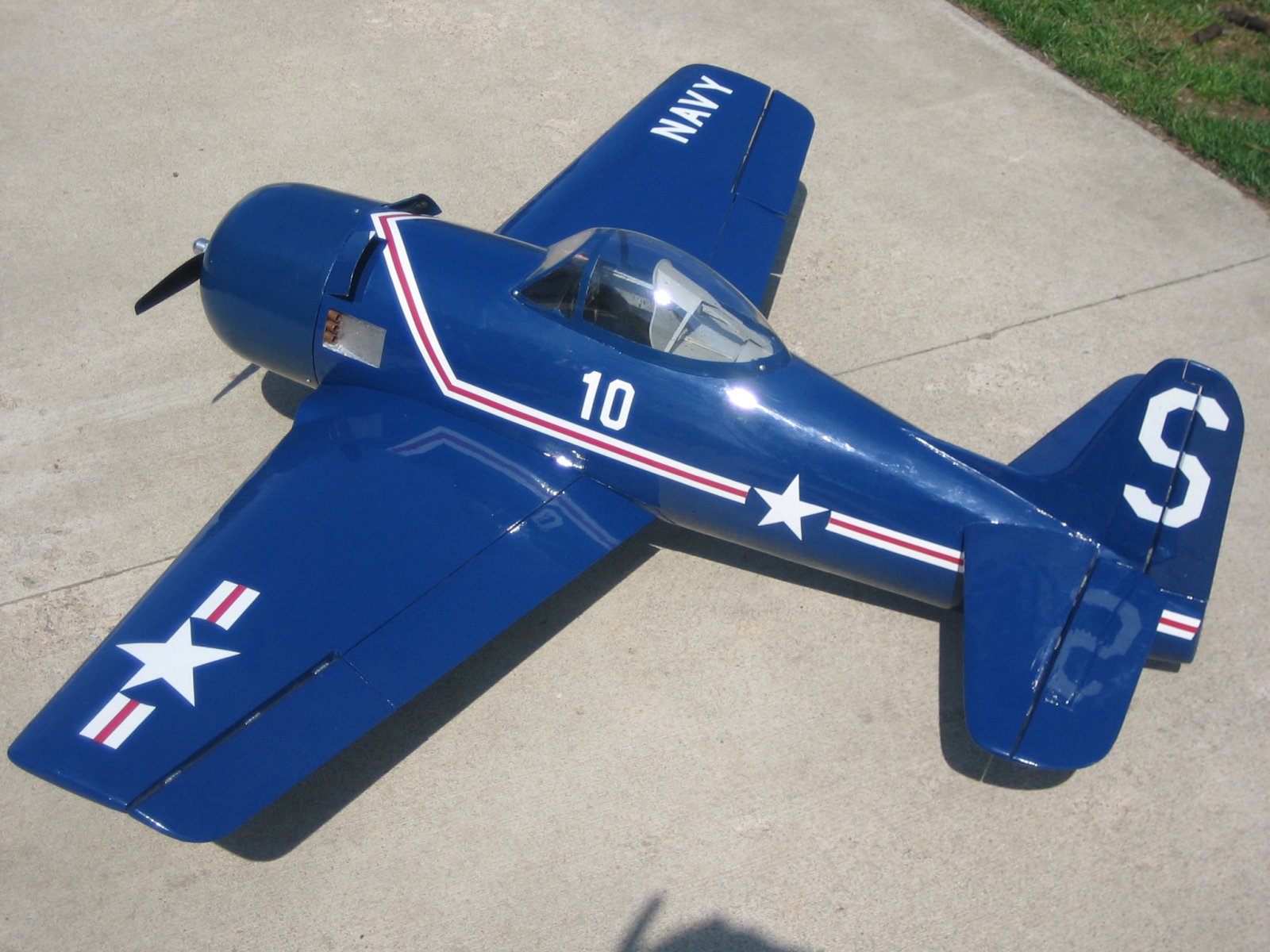 bearcat02.jpg
