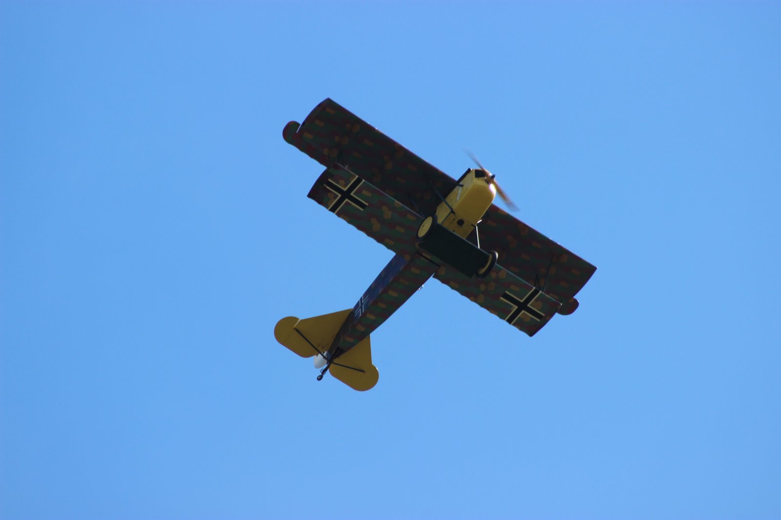 Fokker D7 39.JPG
