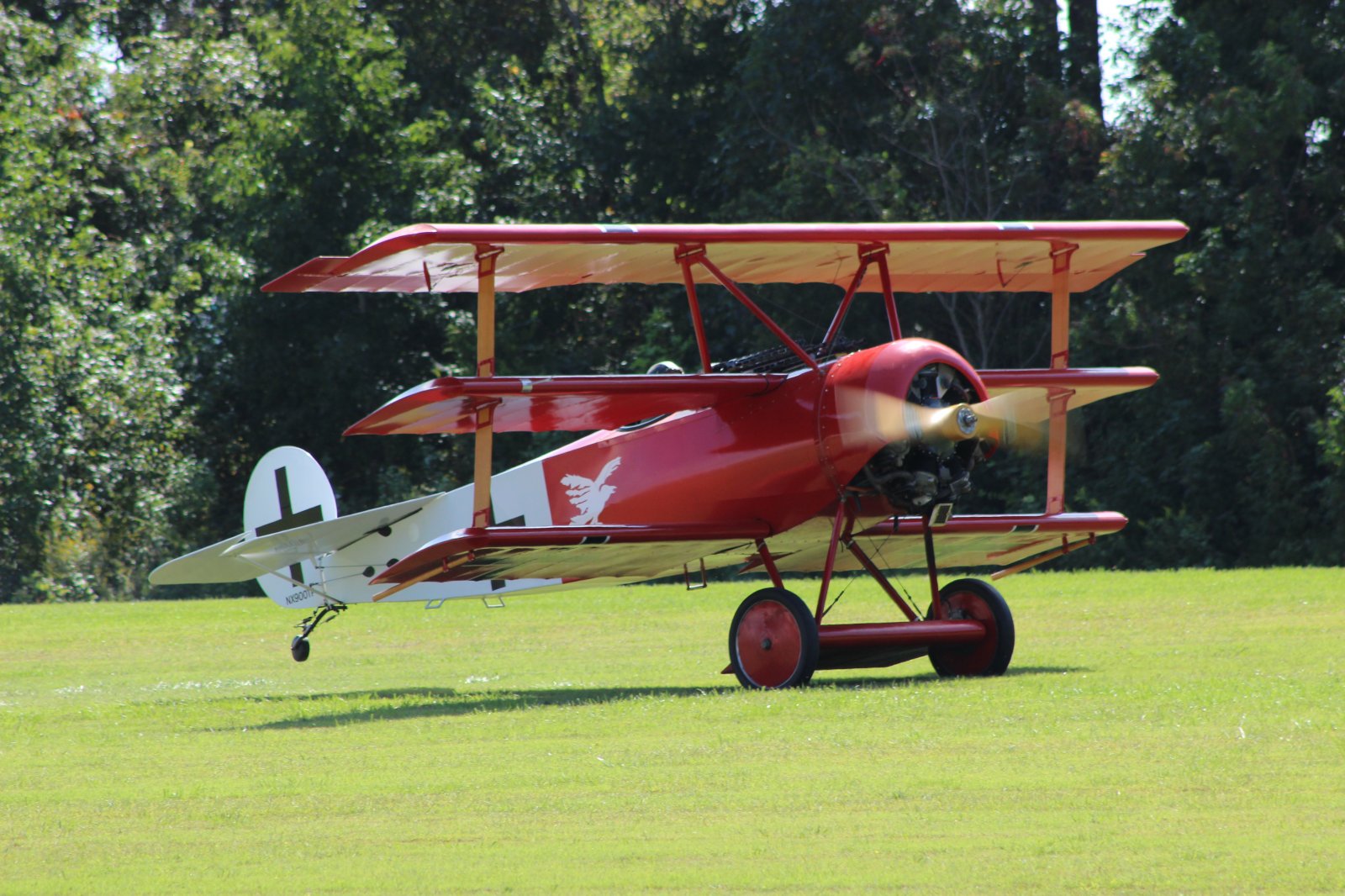 Fokker DR1 26.JPG