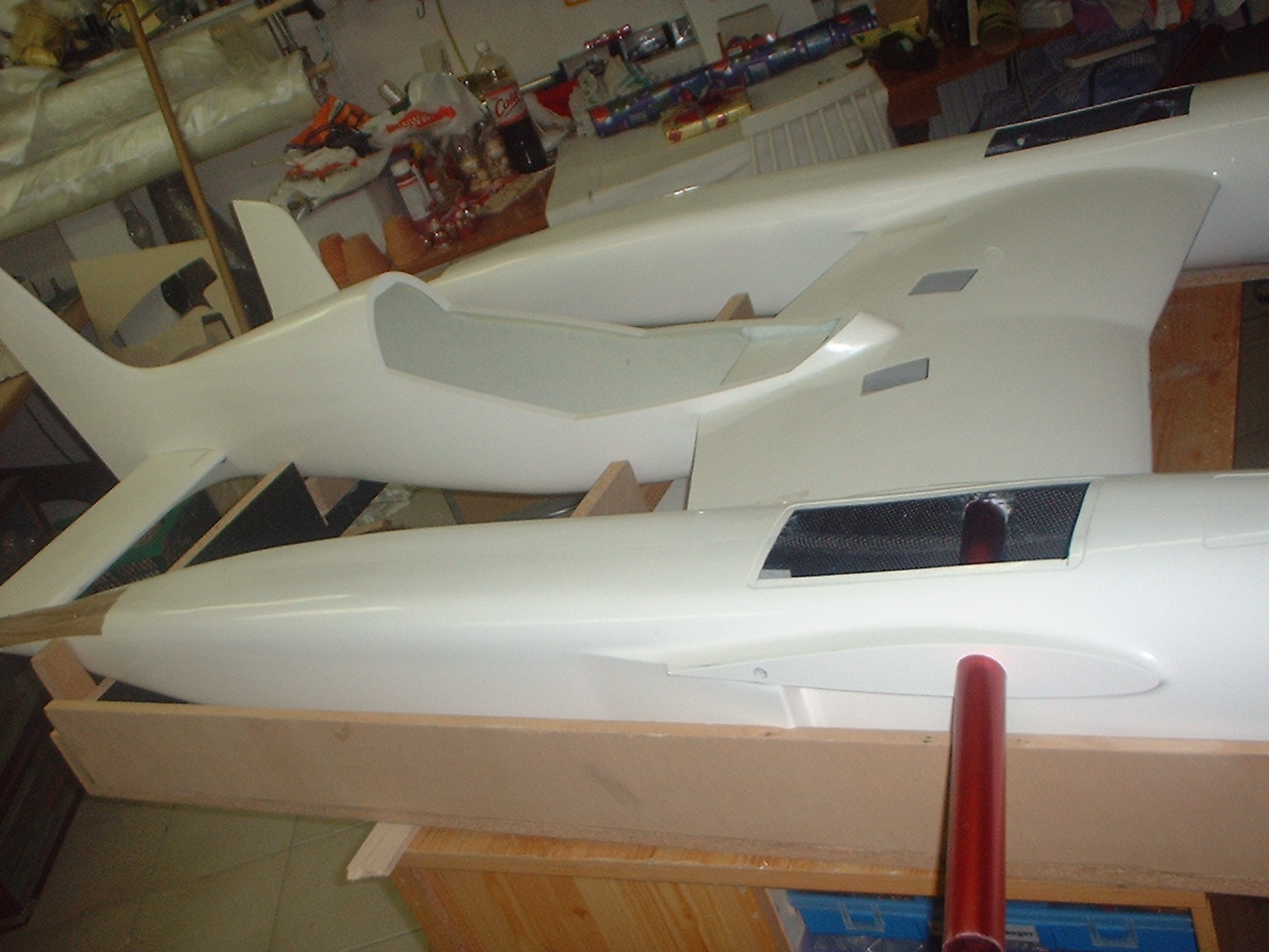 Pond Racer 3.jpg