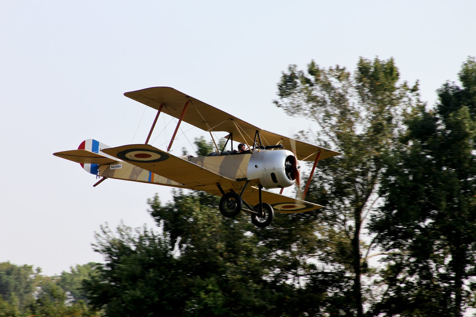 Sopwith 1.5 1.JPG