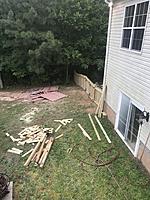 thumb-57326057-5703-48BF-8AE7-832273FF7F16.jpg