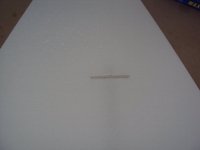 DSC08897.JPG