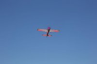 IMG_4653.JPG