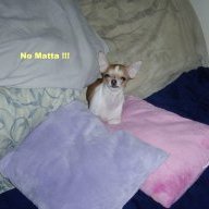 NoMatta